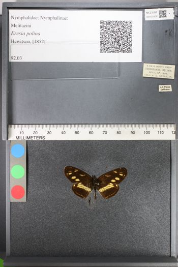 Media type: image;   Entomology 101009